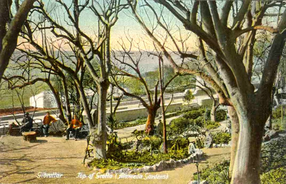 Top of Grotto, Alameda Gardens