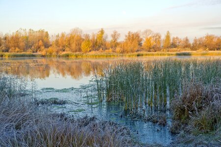 Autumn frost landscape