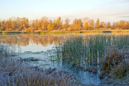 Autumn frost landscape photo