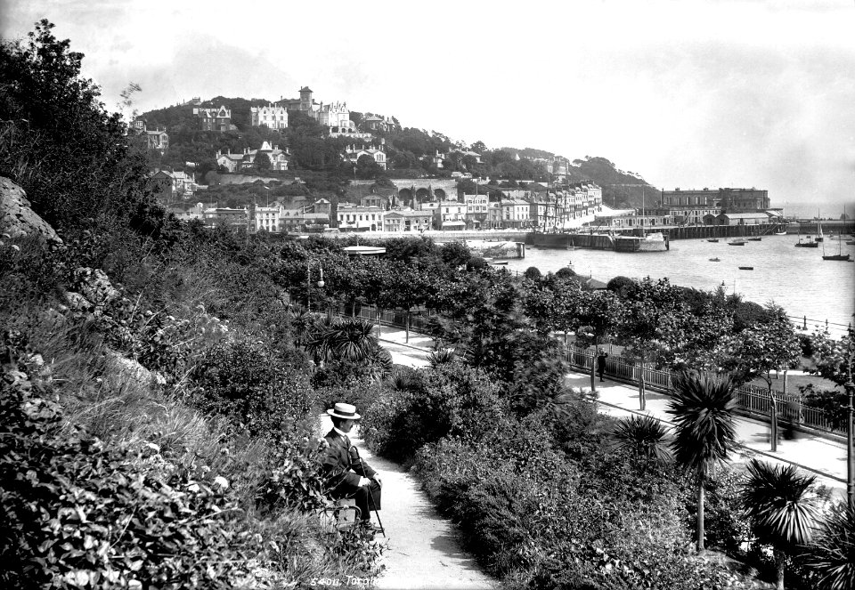 Torquay harbour and pleasure gardens, Devon RMG G03132
