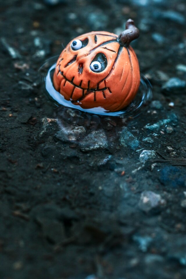 Autumn small puddle