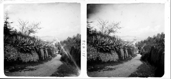 Torrent al parc de Montjuïc
