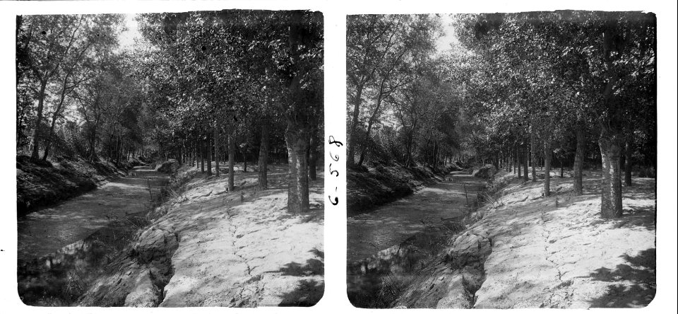 Torrent de Llops