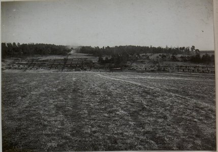Totalansicht vom Lager des VI.Feldbataillons des Infanterieregiments 4 bei Kolonie Alexandrowka (BildID 15442573)