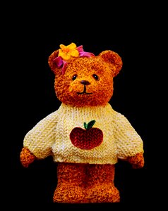 Knitting sweater apple knitted