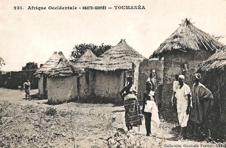 Toumanéa (Guinée)