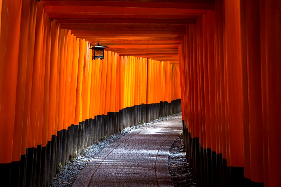 Design light orange
