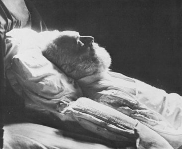 Tournachon, Gaspard-Félix - Victor Hugo (1802-1885) (Zeno Fotografie)