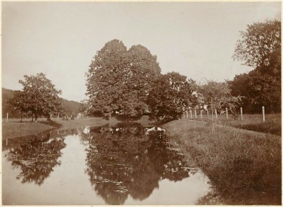 Toussaint, Willem (1865-1929), Afb ANWS00244000090