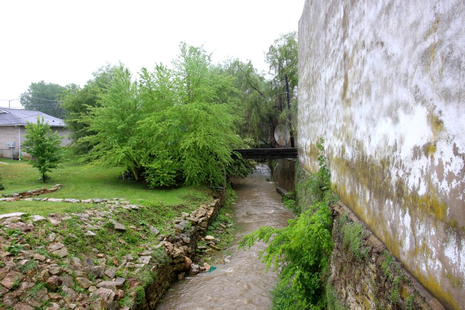 Town Branch (16882890173)