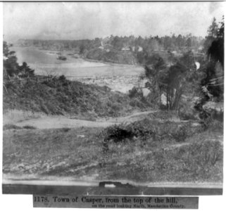Town of Casper, from the top of the hill, on the road looking North, Mendocino County LCCN2002723576
