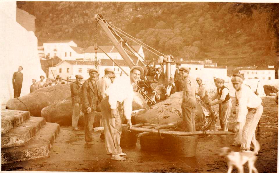 Trabalhando na balia, Cais da Vila das Velas. Séc.XX ilha de São Jorge, Arquivo de Villa Maria, Angra do Heroísmo, Açores.