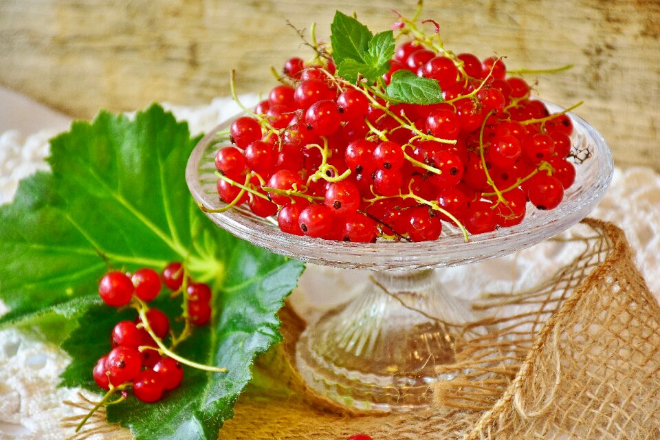 Fruit garden currant berries
