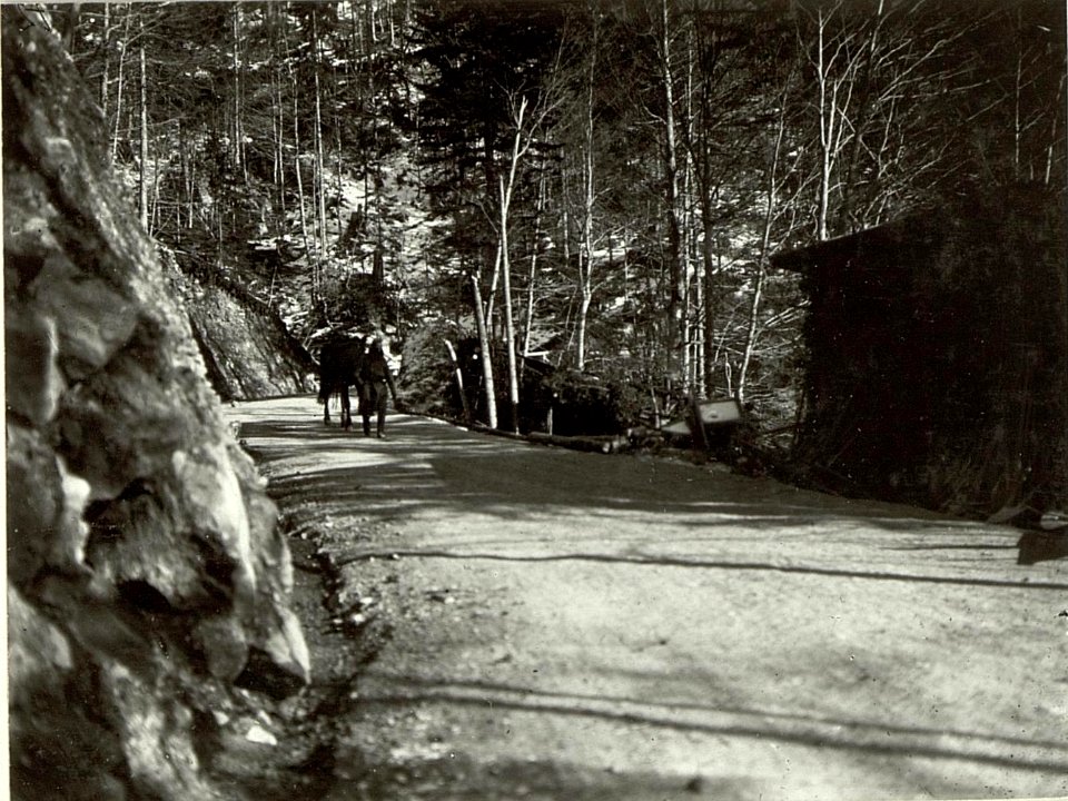Tragtiere bei der Schmiede an der Erherzog Eugen-Straße auf der ersten Serpentine. Richtung Soca. (BildID 15464544)