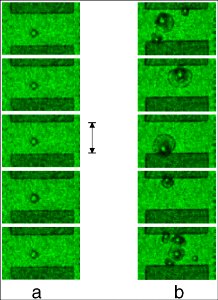 Traces of Nanobubbles Determine Nano-boiling (5941084916)