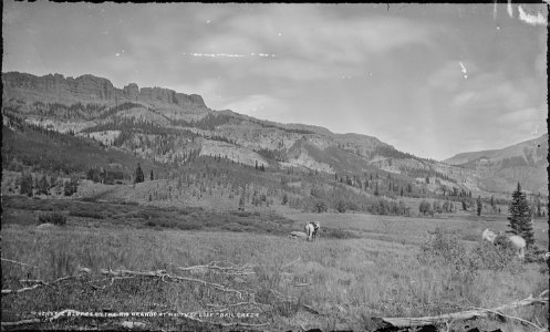 Trachytic bluffs, on the Rio Grande at the mouth of Lost Trail Creek. San Cristobal Quadrangle. Hinsdale County... - NARA - 517079