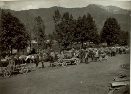 Train bei der Fassungsstelle in Mauthen.Aufgen.22.IX.1915. (BildID 15460314)