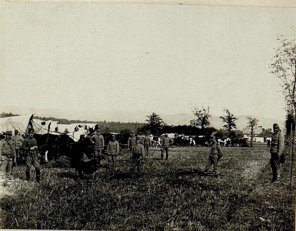Train des Landsturm Bataillons Nro. 217. (BildID 15522428)