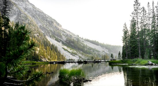 Lake green idaho