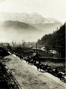Train auf der Straße von Fiera di Primiero. (BildID 15416290)