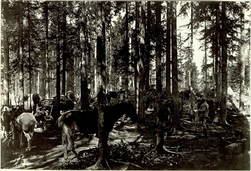 Trainlager bei Maria Schnee an der Plöckenstrasse. Aufgenommen, am 22. September 1915. (BildID 15460328)