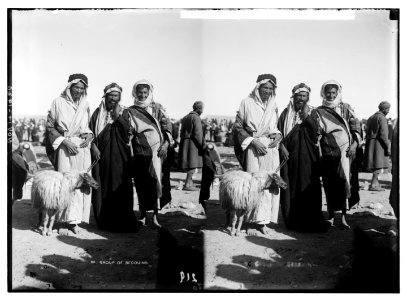 Trans-Jordan. Bedouins of Beersheba. (Young men). LOC matpc.05978