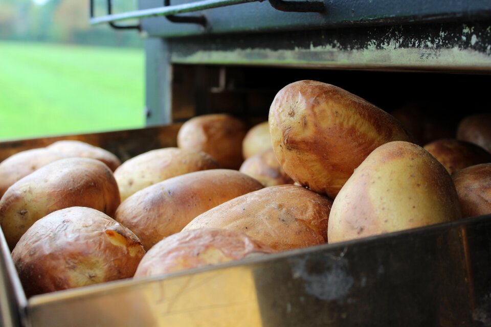 Market baked potatoes brown market photo