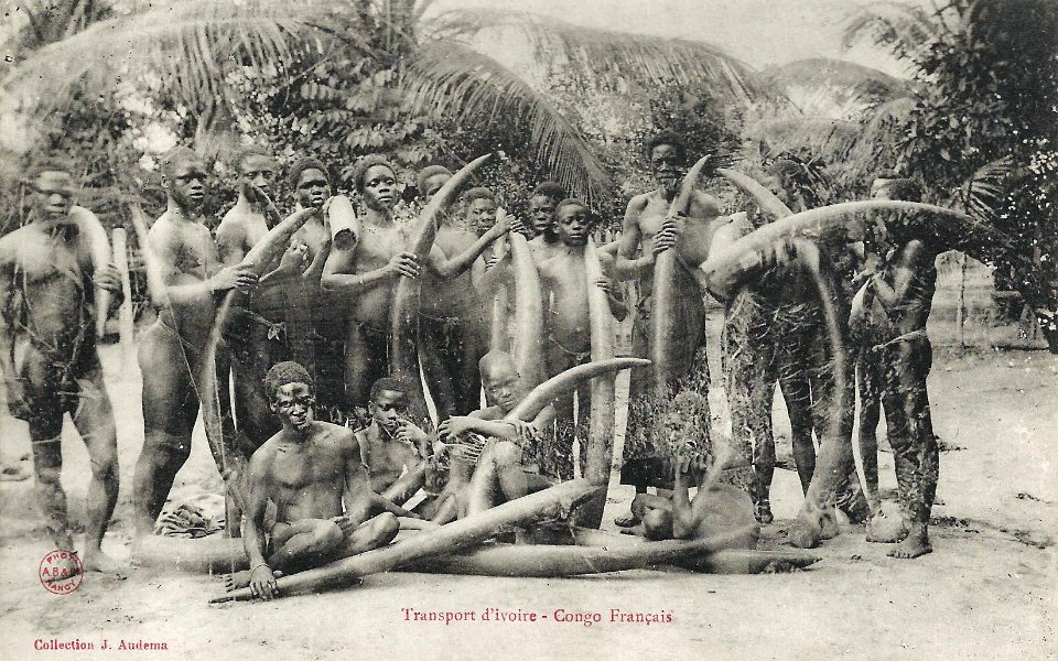 Transport d'Ivoire-Congo Français