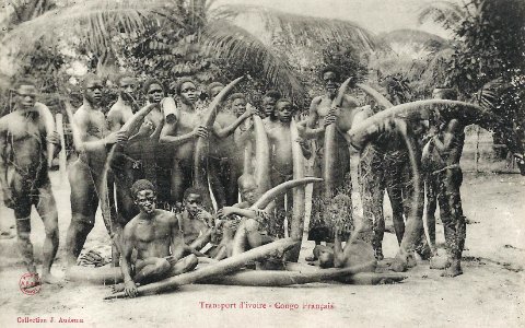 Transport d'Ivoire-Congo Français