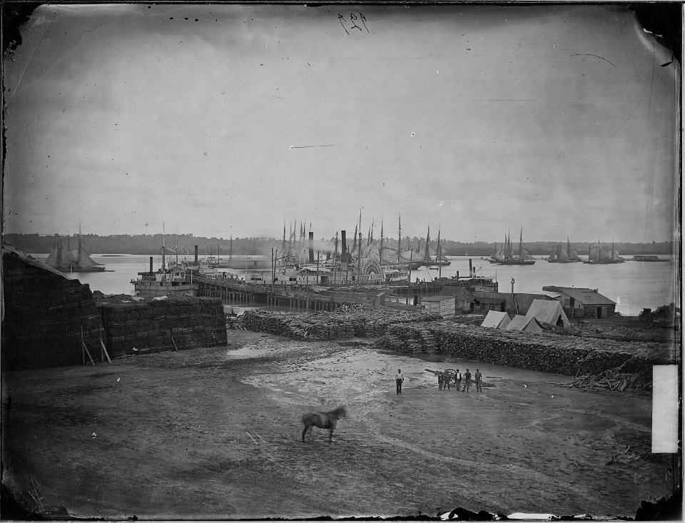 Transport fleet at landing - NARA - 529150
