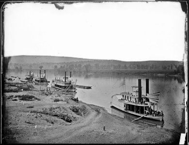Transport Fleet, Tennessee River - NARA - 528963 photo