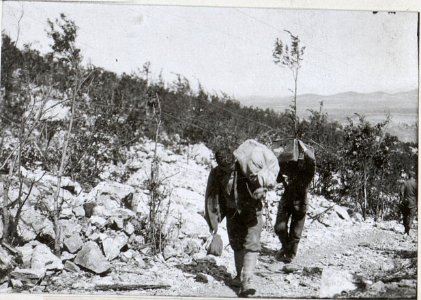 Transport von Verpflegung. (BildID 15603089)