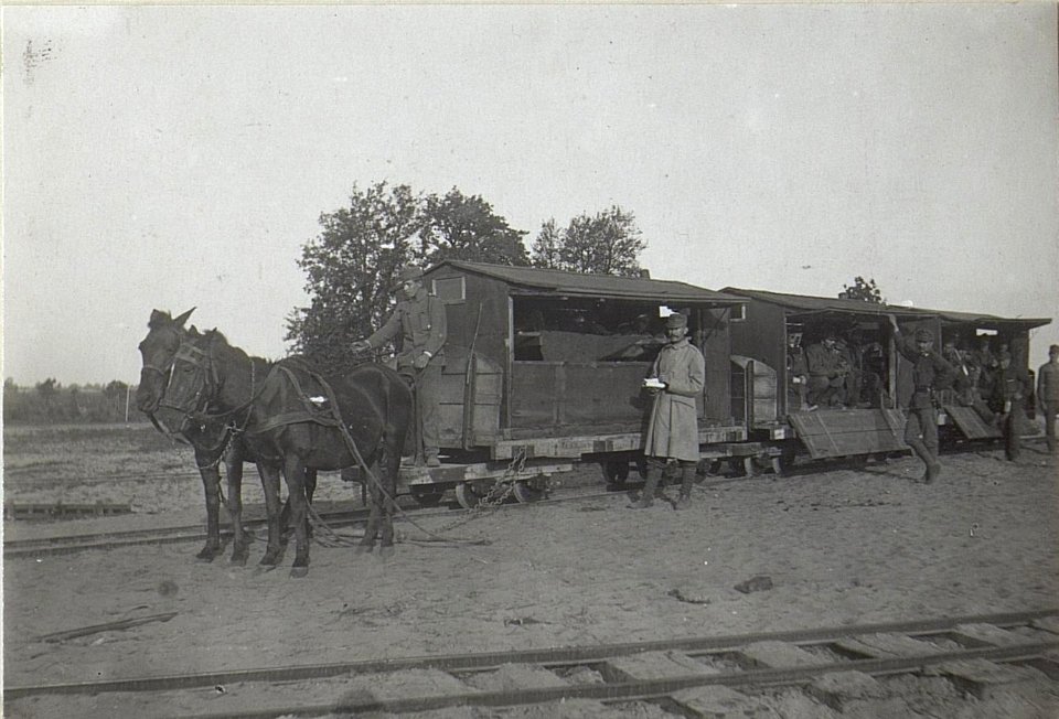 Transport Verwundeter mittes Pferdebahn in Czernemoszno (BildID 15696295)