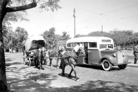 Transporte público de pasajeros, línea 219. Buenos Aires 1938. photo