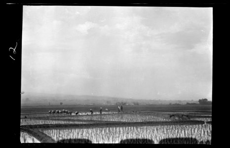 Travel views of Japan and Korea LOC agc.7a04524