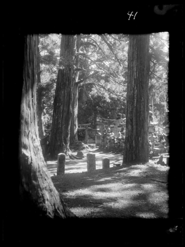Travel views of Japan and Korea LOC agc.7a04552