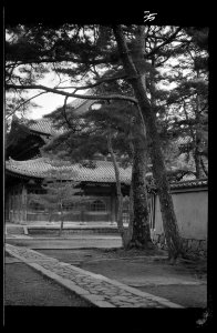 Travel views of Japan and Korea LOC agc.7a04545