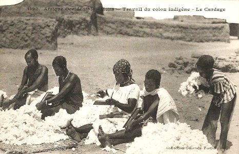Travail du coton indigène-Le cardage (AOF)