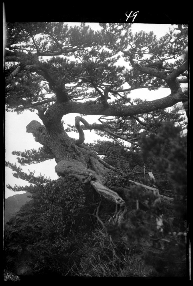 Travel views of Japan and Korea LOC agc.7a04560