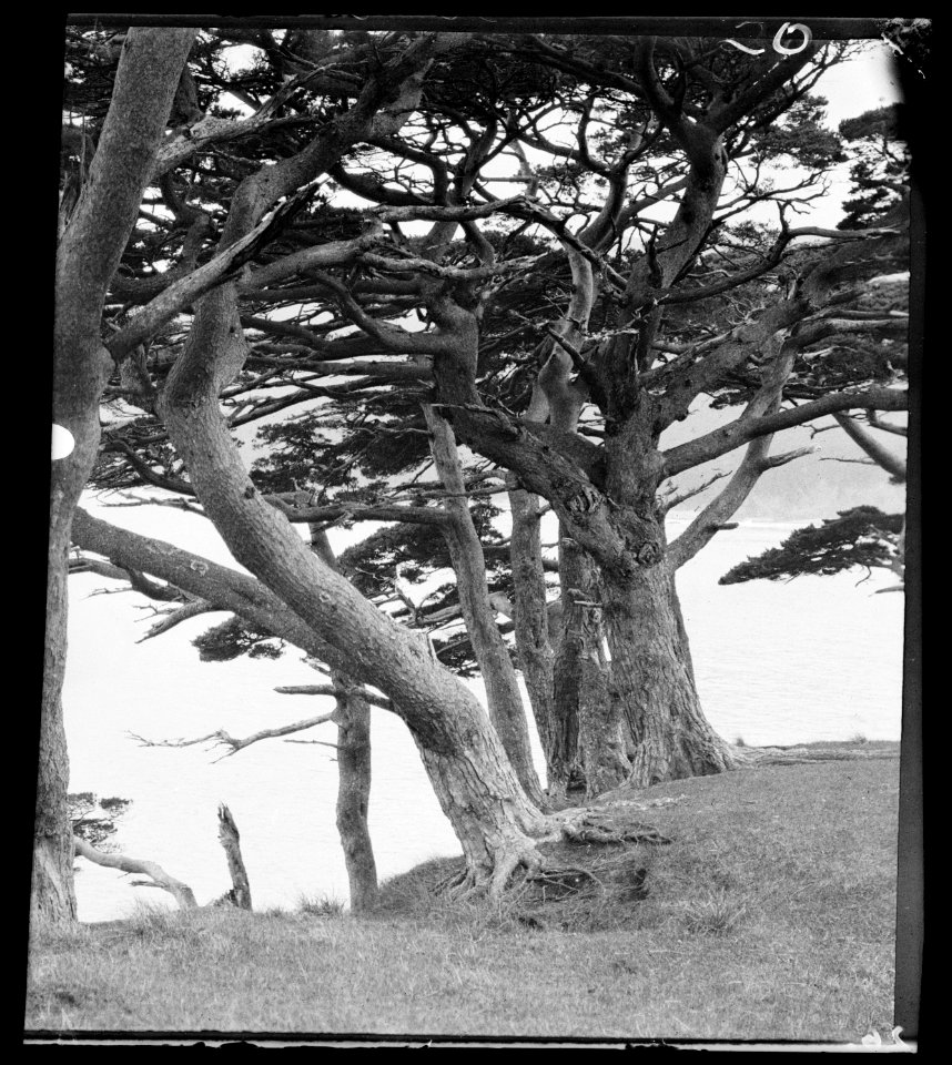 Travel views of Japan and Korea LOC agc.7a04531