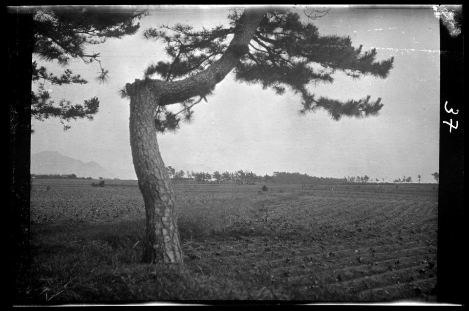 Travel views of Japan and Korea LOC agc.7a04547