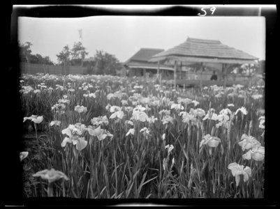 Travel views of Japan and Korea LOC agc.7a04570