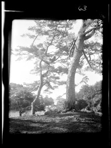 Travel views of Japan and Korea LOC agc.7a04574