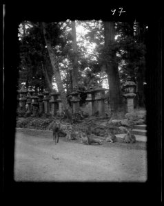 Travel views of Japan and Korea LOC agc.7a04608