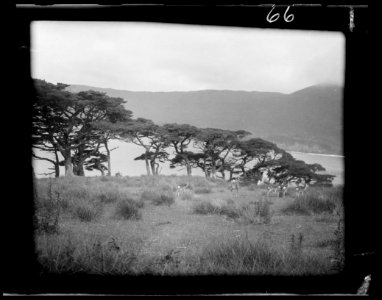 Travel views of Japan and Korea LOC agc.7a04577