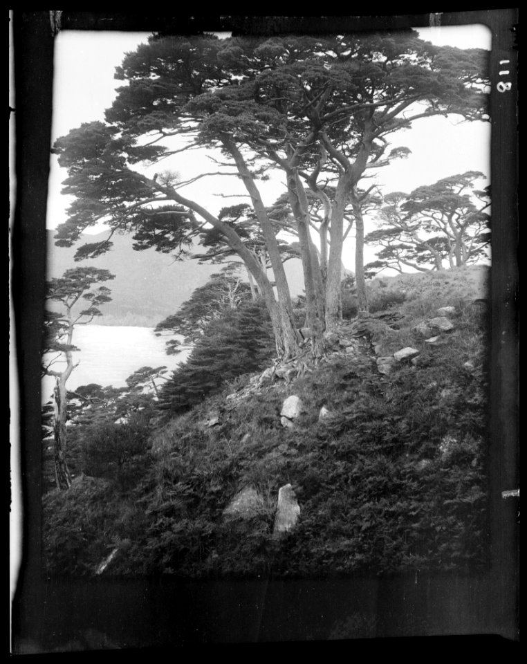 Travel views of Japan and Korea LOC agc.7a04629