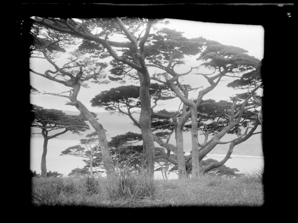 Travel views of Japan and Korea LOC agc.7a04632