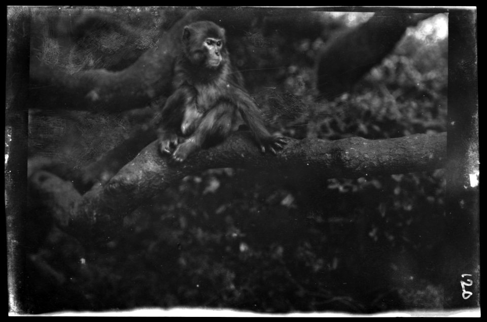 Travel views of Japan and Korea LOC agc.7a04631