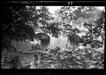 Travel views of Japan and Korea LOC agc.7a04610