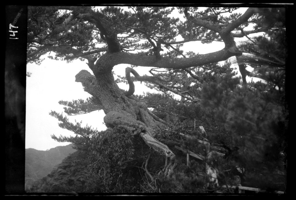 Travel views of Japan and Korea LOC agc.7a04658